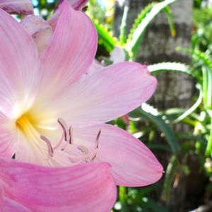 Meet your Posher, Mercedes